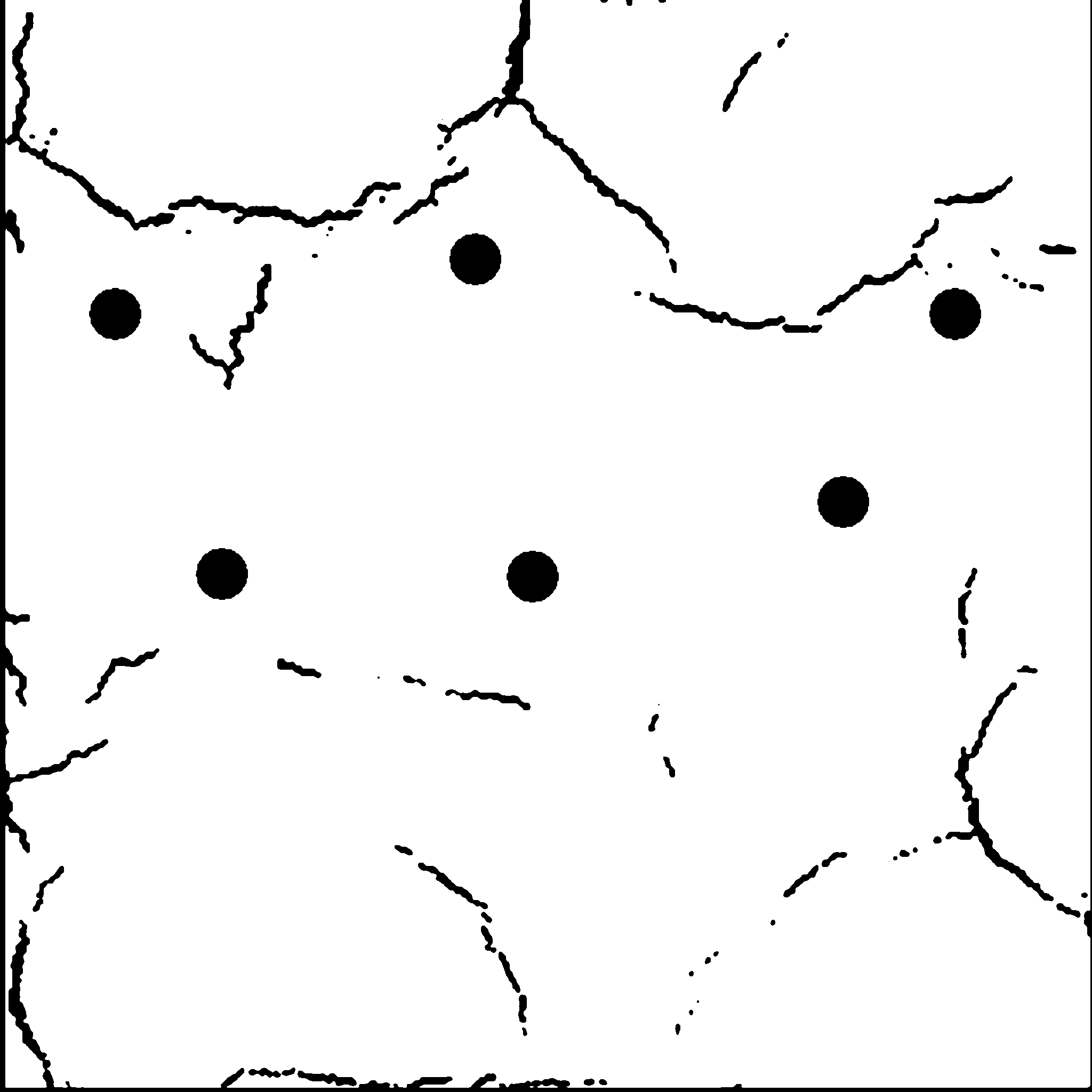 说明: 率定图像-试验0